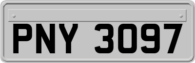 PNY3097