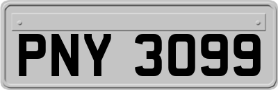 PNY3099