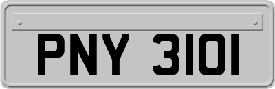 PNY3101