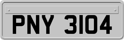 PNY3104