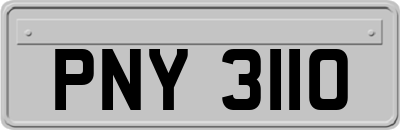 PNY3110