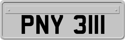 PNY3111