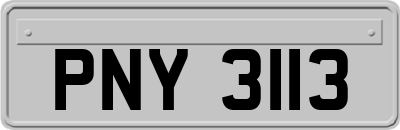PNY3113