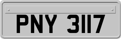 PNY3117