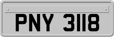 PNY3118