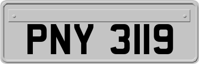 PNY3119