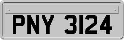PNY3124