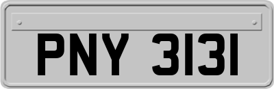 PNY3131