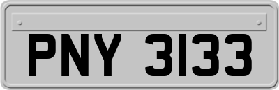 PNY3133