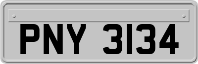 PNY3134
