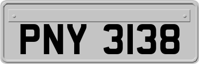 PNY3138