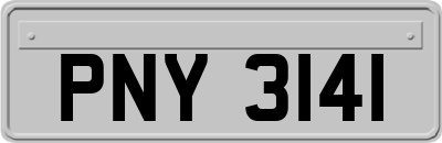 PNY3141