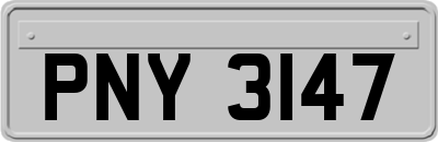 PNY3147