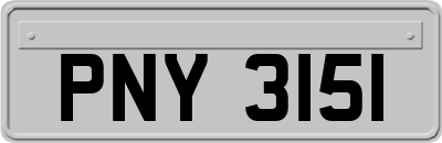 PNY3151