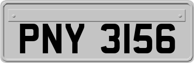 PNY3156