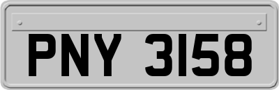 PNY3158