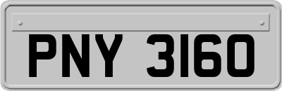 PNY3160