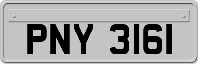 PNY3161