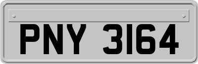 PNY3164