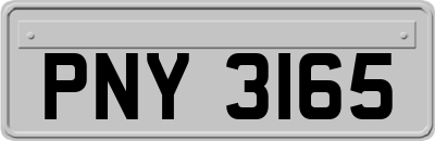 PNY3165