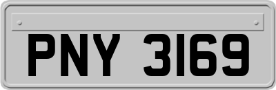 PNY3169