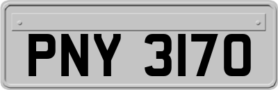 PNY3170