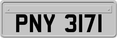 PNY3171