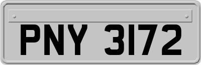 PNY3172