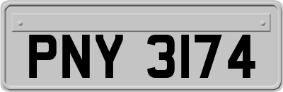 PNY3174