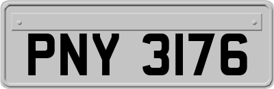 PNY3176