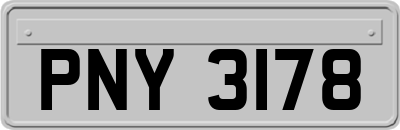 PNY3178