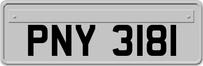 PNY3181