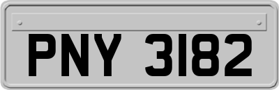 PNY3182