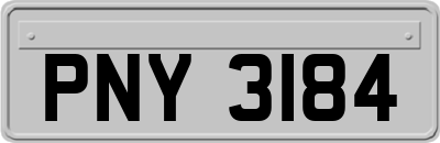 PNY3184
