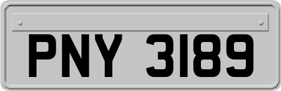 PNY3189