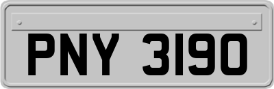 PNY3190