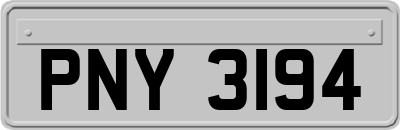 PNY3194