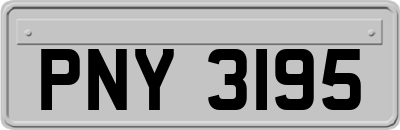 PNY3195