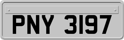 PNY3197