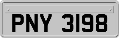 PNY3198