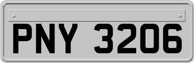 PNY3206