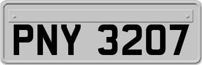 PNY3207