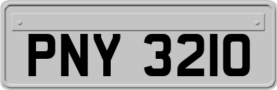 PNY3210