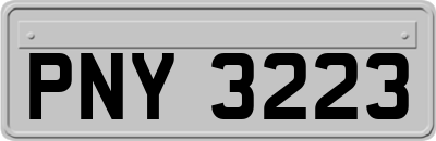 PNY3223
