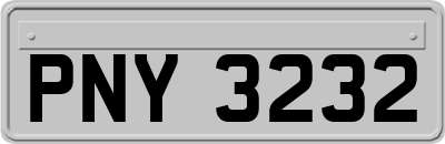 PNY3232