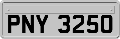 PNY3250