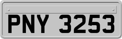 PNY3253