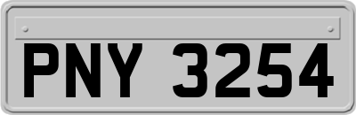 PNY3254