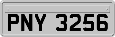 PNY3256