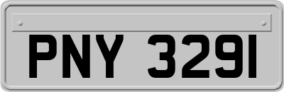 PNY3291